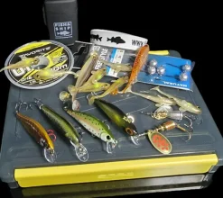 Box Truite Fish & Ship