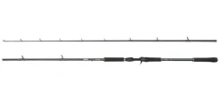 Canne Casting Abu Garcia Beast X2