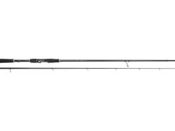 Canne Spinning Westin W2 Hunter