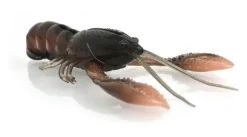 Leurre Souple Nikko Craw 3.2"