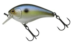 Poissn-nageur Illex Aska 60SR