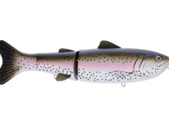 Poisson-nageur Baitsanity Explorer 9" Gen2