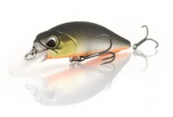 Poisson-nageur Duo Realis Rozante 77SP