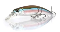 Poisson-nageur Duo Spearhead Ryuki 80S