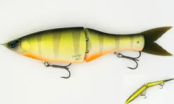 Poisson-nageur Grassroots Grand Edge 190SF