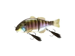 Poisson-nageur Illex Chibitarel