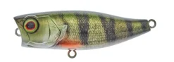 Poisson-nageur Illex Chubby Popper 42