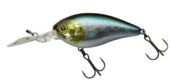 Poisson-nageur Illex Digle 3+