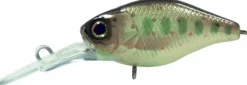 Poisson-nageur Illex Diving Chubby 38