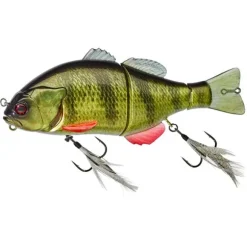 Poisson-nageur Illex Gantarel