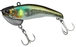 Poisson-Nageur Illex Tricorollvib 60