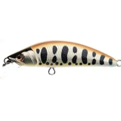 Poisson-nageur Ito Craft Emishi 50S
