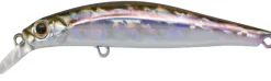 Poisson-nageur Jackson Artist 65HW