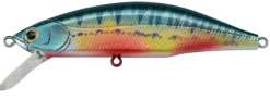 Poisson-nageur Jackson Meteora 52