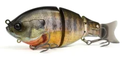 Poisson-nageur Raid Japan G-Dash