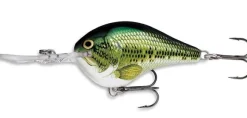 Poisson-nageur Rapala Dive To DT10