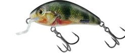 Poisson-nageur Salmo Rattlin Hornet Shallow 4,5cm