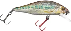 Poisson-nageur Spro Ikiru Flat Jerk 65 FS