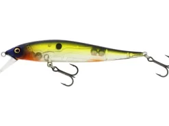Poisson-nageur Westin Jerkbite Sr 11cm Suspending